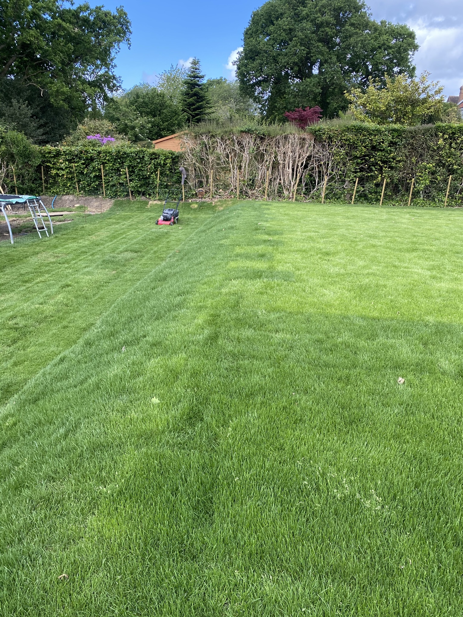 placeholder image sq